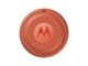 Mobil - Andet Tilbehør - Motorola moto tag 2 - PANTONE Arabesque (1x) - PG38C08027