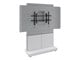 FM-DS-6675FS-D8W