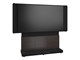 FM-DS-6675FS-EA3B