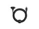 BELT-CCL-COS-NP