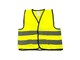 113HIVIS