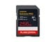 SDSDXEM-256G-GN4IN