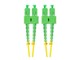 FO-SASA-SD11-0010-YE