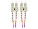 FO-SUSU-MD41-0010-VT