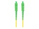 FO-SASA-SS11-0010-YE