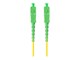 FO-SASA-SS11-0020-YE