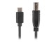 CA-USBA-14CC-0030-BK