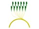 FTTH-PIGTAIL-LCA1