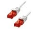 6UTP-15W
