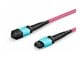 LVO230410-MTP-2XS
