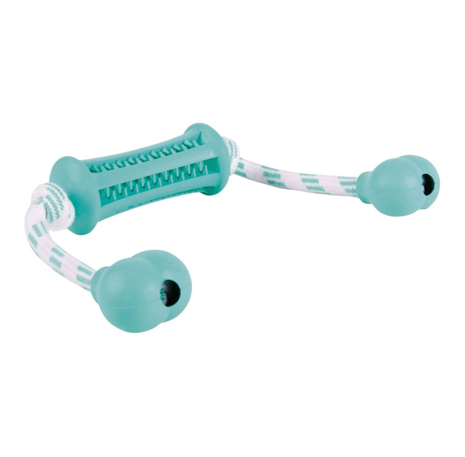 Hunde - Trixie Denta Fun Stick with Rope - Mint Flavour 9x37cm - TX33771