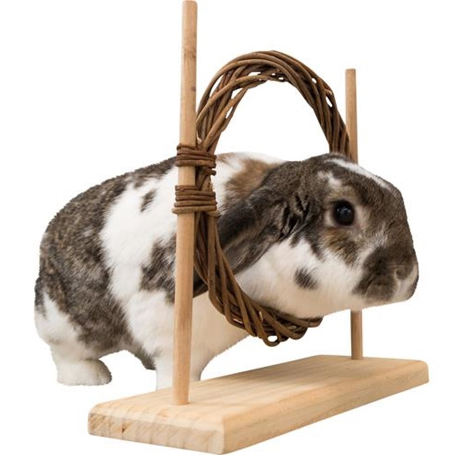 Kanin & gnaver - Trixie Smådyrs Agility Sæt med Ring & Forhindring til Rotter Dværgkaniner 28x26x11cm - TX61910