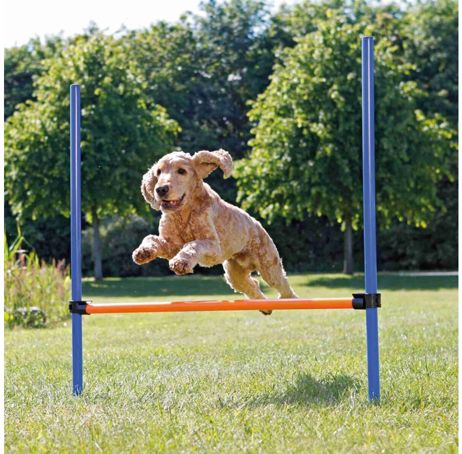 Hunde - Trixie Dog Fun Agility Hurdle 123x115cm - TX3207