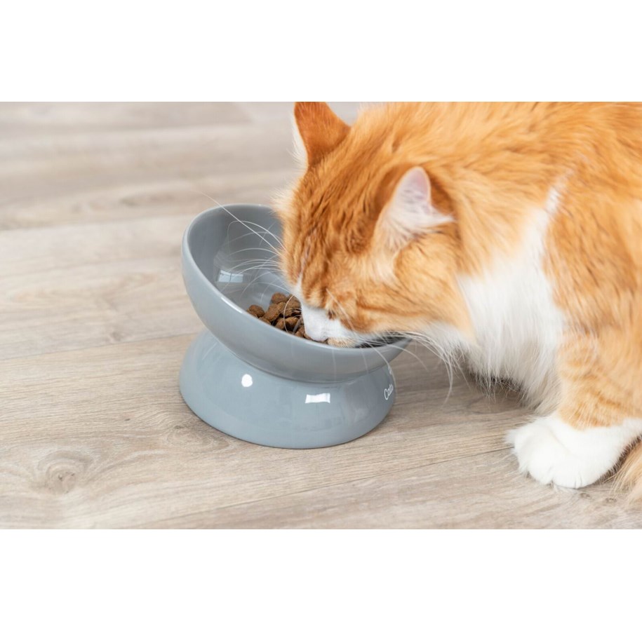 Katte - Trixie Ergonomic Feeding Bowl Ceramic XXL 0.35L 17cm - TX24805
