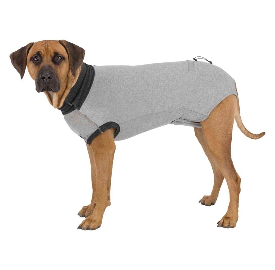 Hunde - Trixie Beskyttende restitutionsbody til hunde Størrelse: XL Ryglængde: 70cm - TX19539