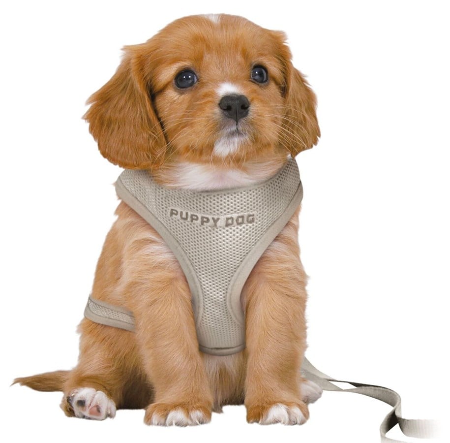 Hunde - Trixie Junior Puppy Blød Sele med Line Størrelse S-M Maveomkreds 26-34cm - TX15560