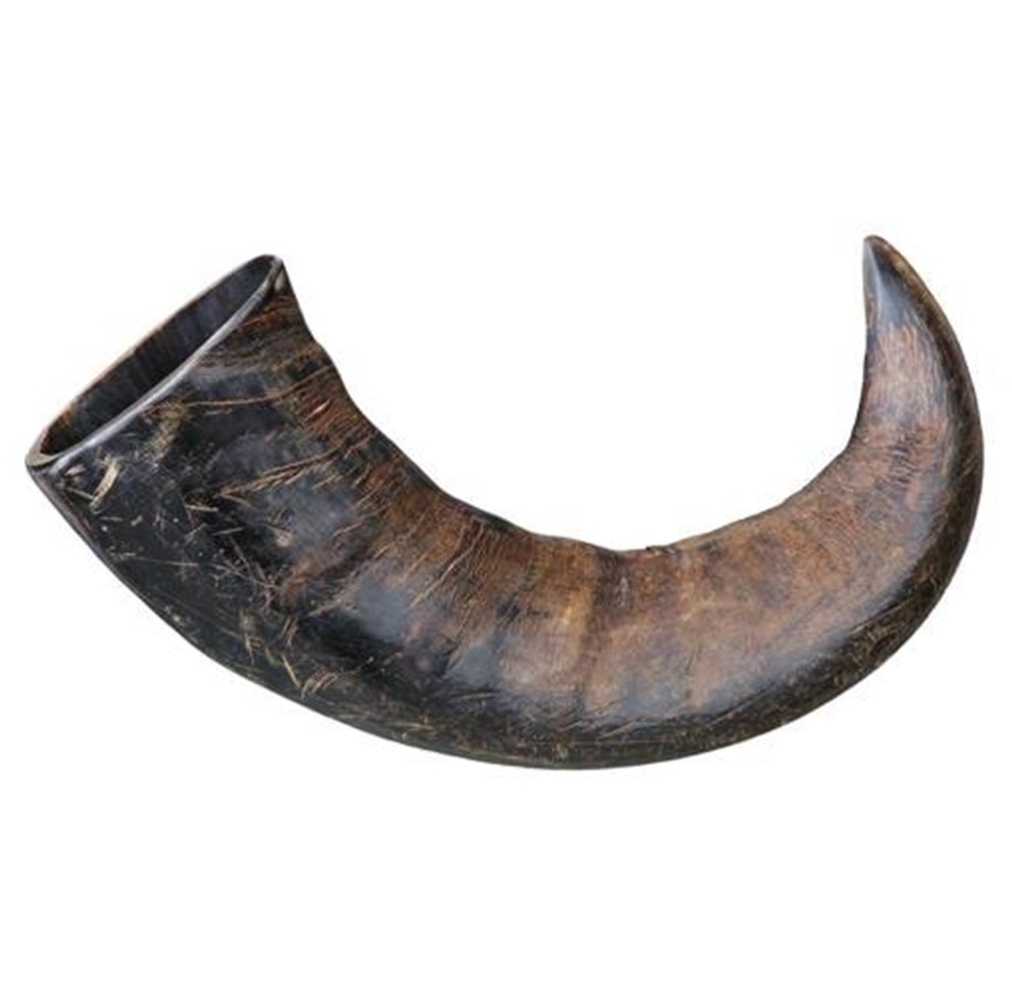 Hunde - Trixie Buffalo Chewing Horn packaged large - TX27743