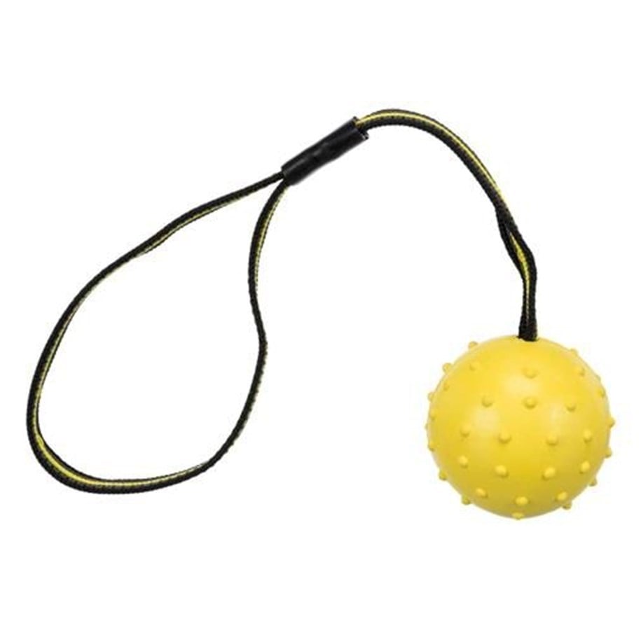Hunde - Trixie Ball on a Strap ø 6 cm/35 cm assorted colours - TX32820