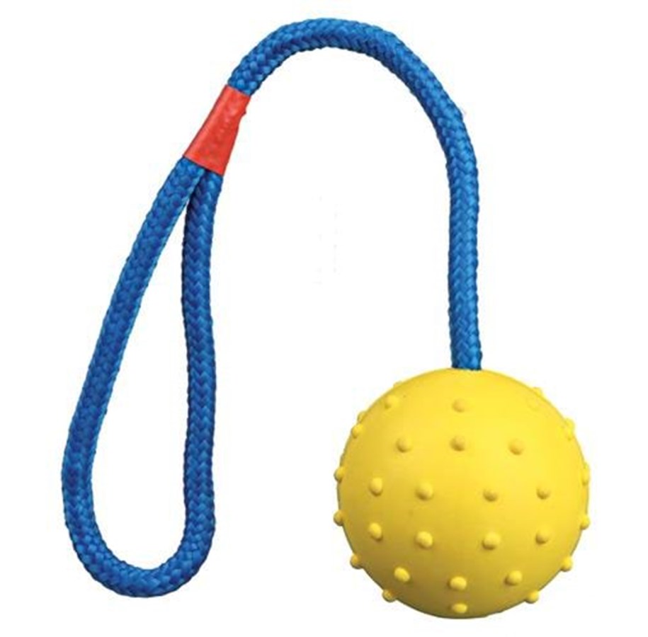Hunde - Trixie Ball on a Rope ø6cm assorted colours - TX3305