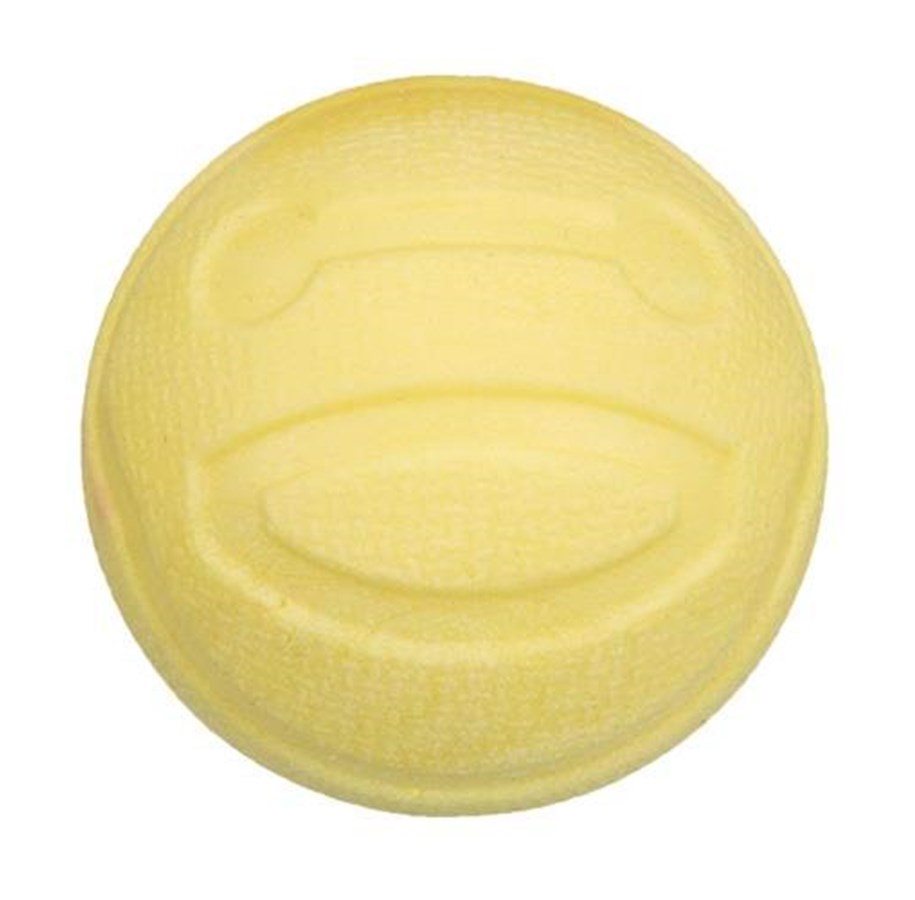 Hunde - Trixie Aqua Toy Ball ø 6 cm assorted colours - TX33446