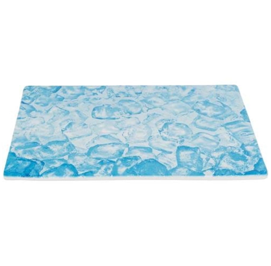 Kanin & gnaver - Trixie Cooling Plate 35x25 cm blue - TX63012