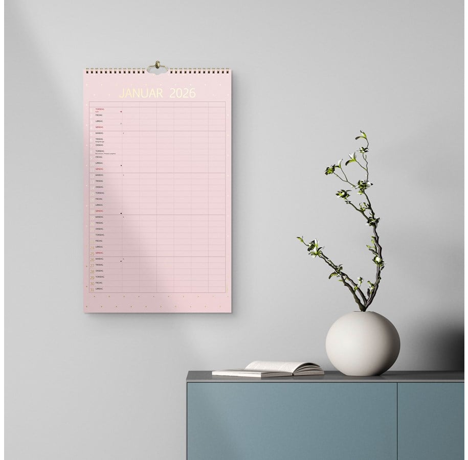 Kalender - Mayland Studie Familiekalender Color 2025/2026 - 26807700