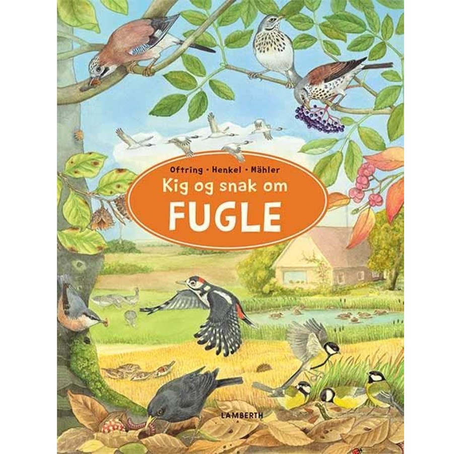 Børnebøger - Kig og snak om Fugle - Børnebog - Papbog *DEMO* - 9788776371111