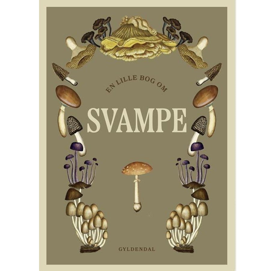 Natur & Videnskab - En lille bog om svampe - Natur & Videnskab - Hardcover - 9788702414899