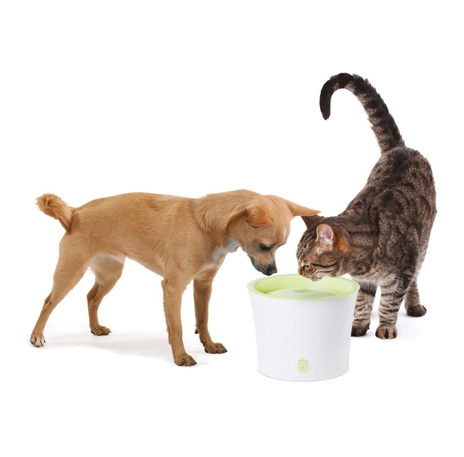 Katte - Catit Design Hvid/Lime Drikkefontæne 3 ltr. - 55600