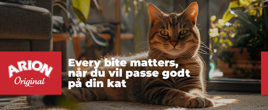 Arion-Original-kat produkter