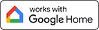 google home