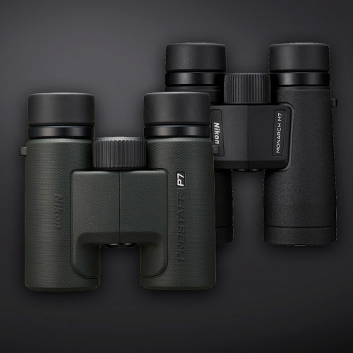 Nikon kikkerter