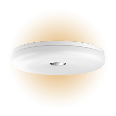 Philips Hue Struana Bathroom Plafond